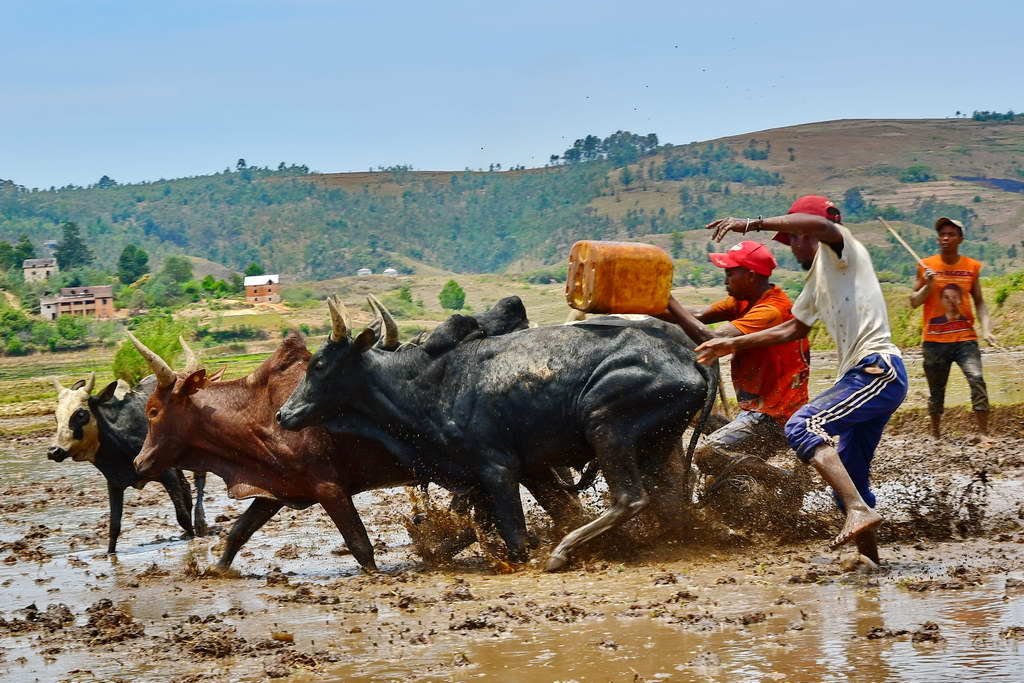 Ambositra Region